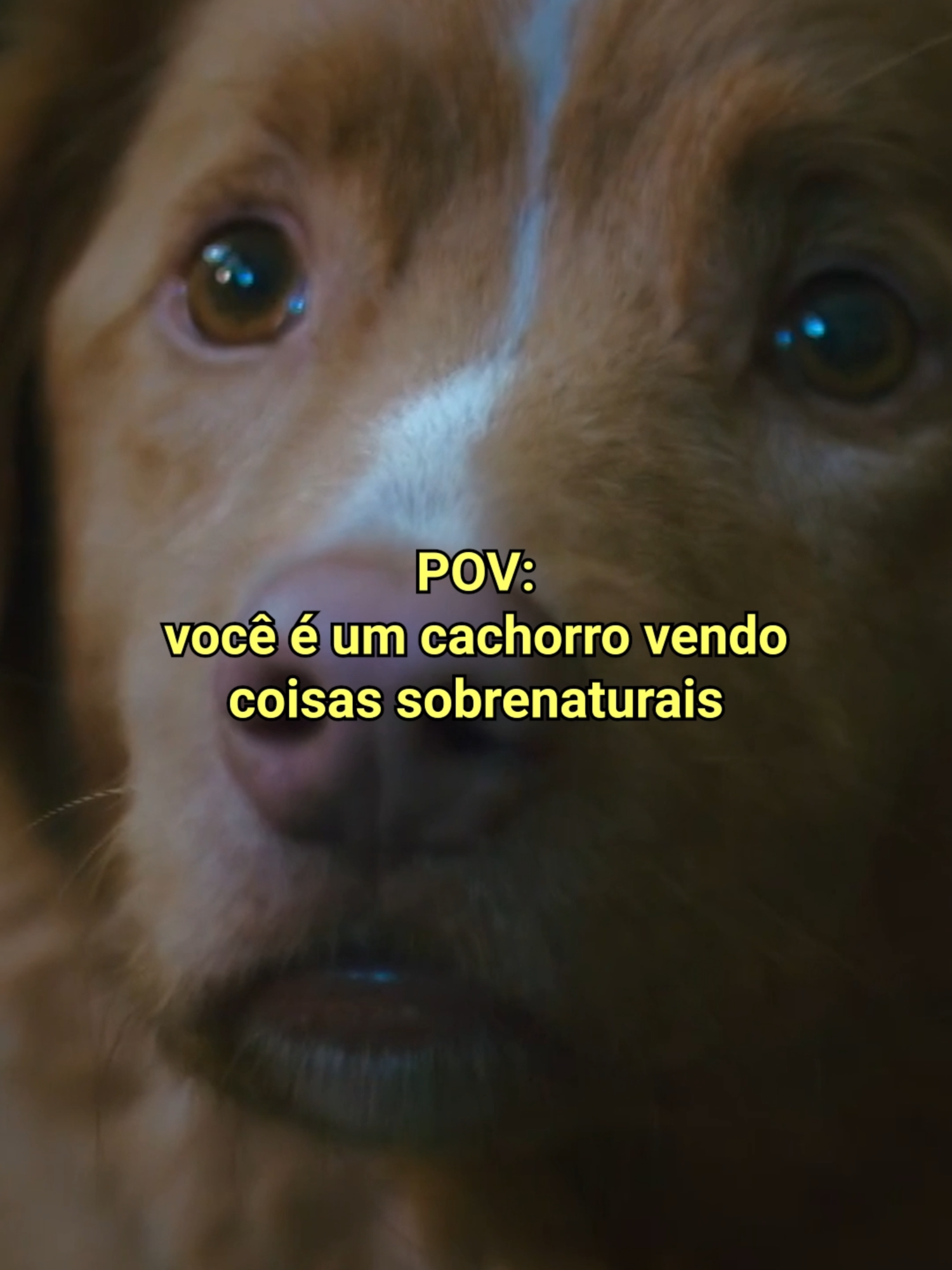 @telecine