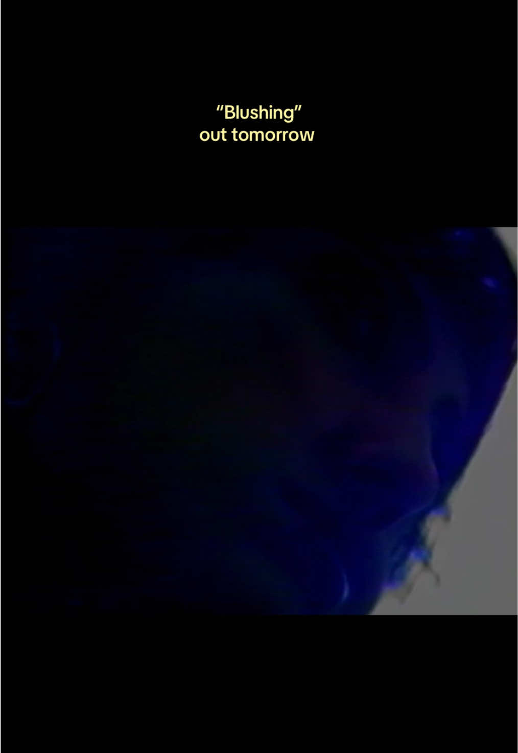 @💿Asal🪽