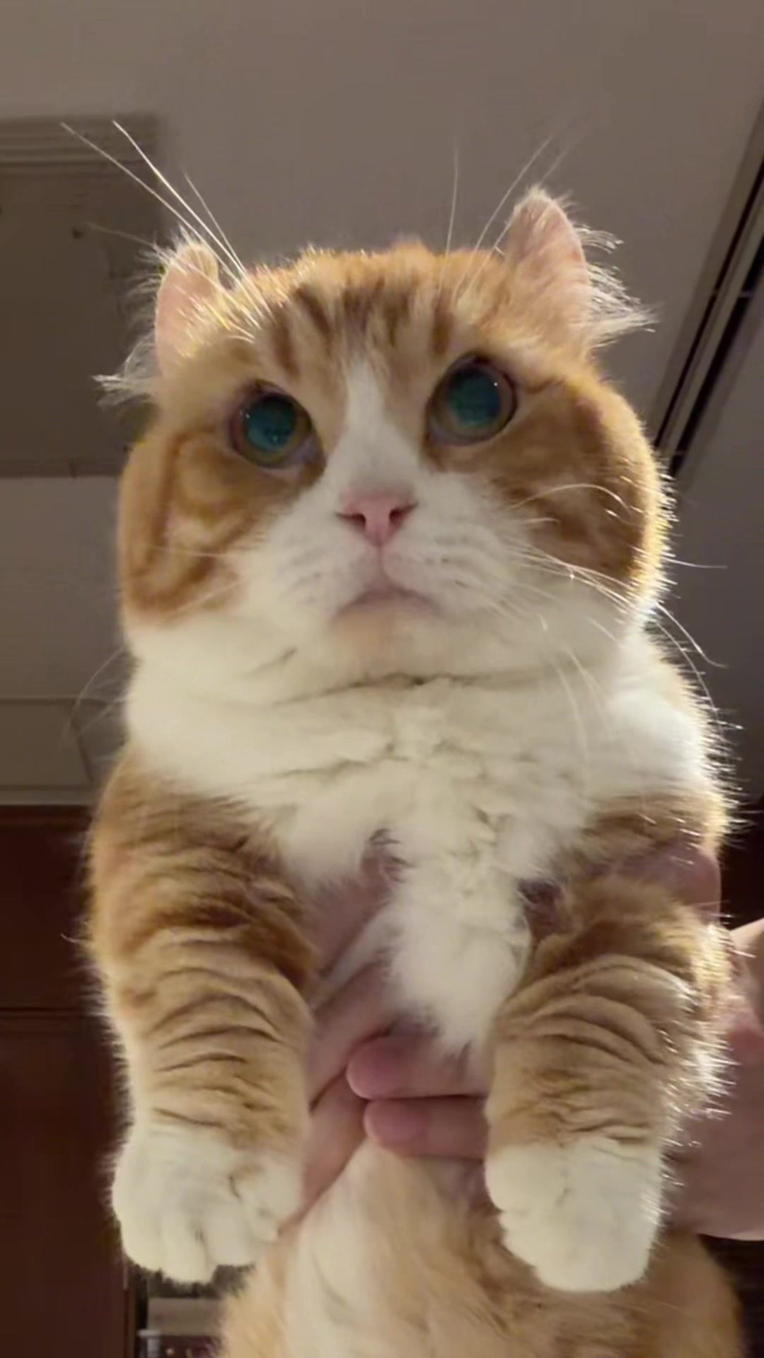 @น้องกล้วยกะป้อกล็อค