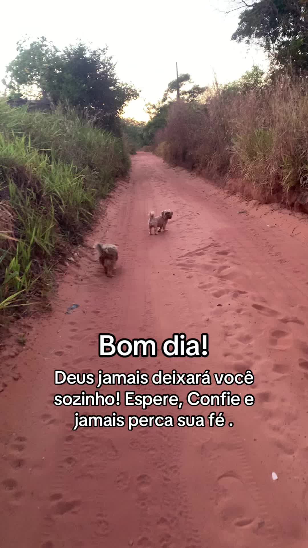 @Entre Laços
