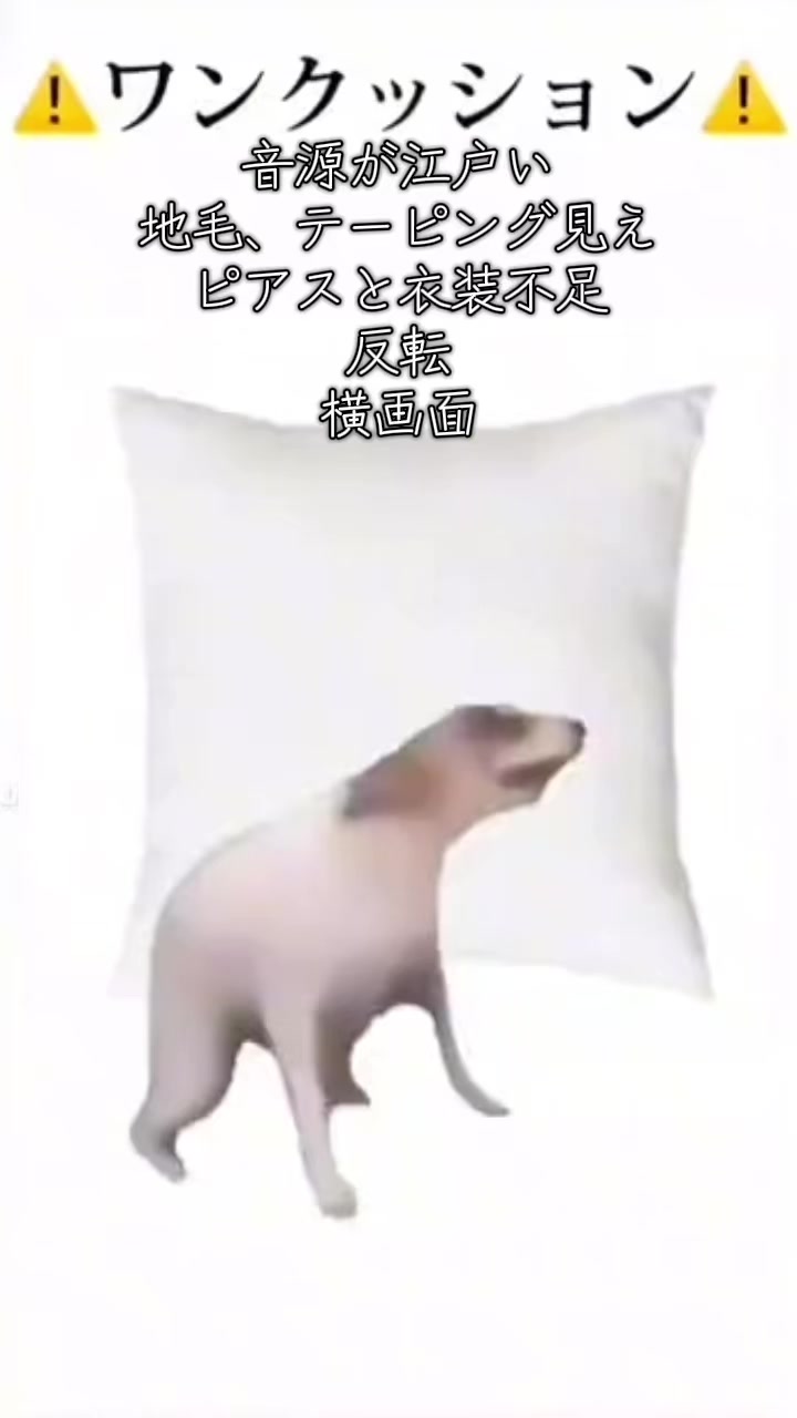 @ãã¡ãðªïžïžâ°âê³