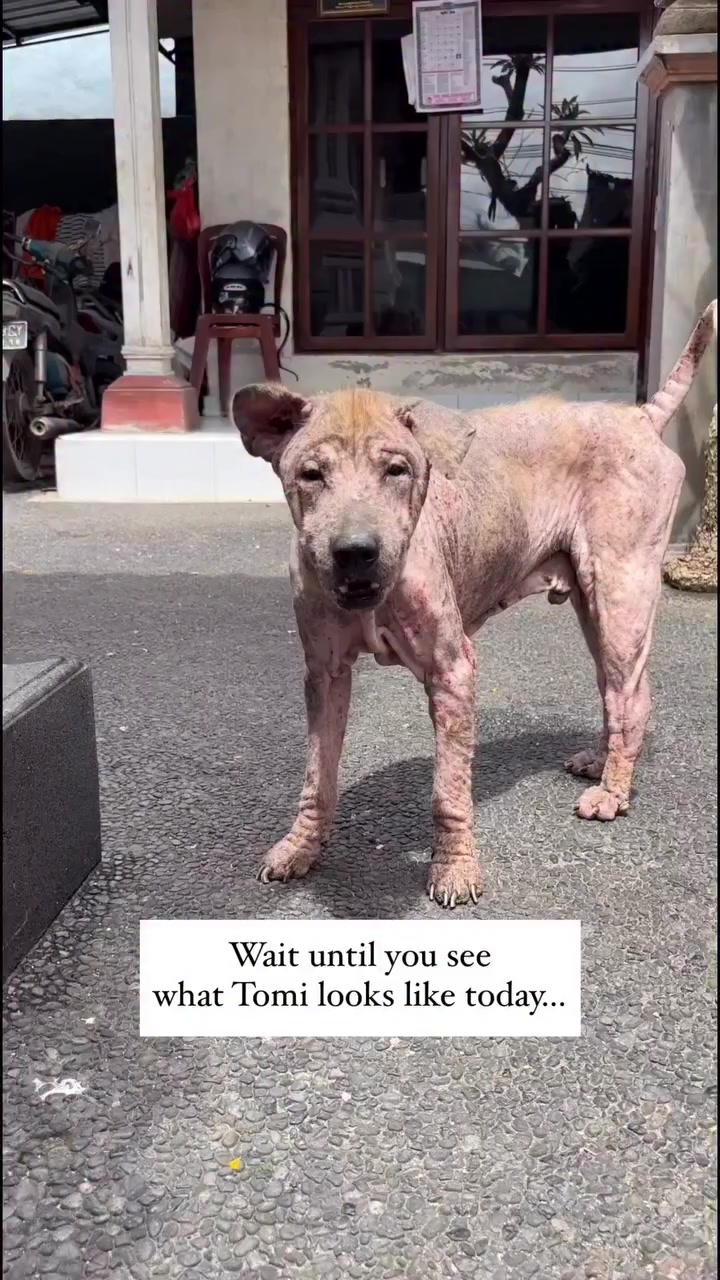 @littlestepsmatter.bali