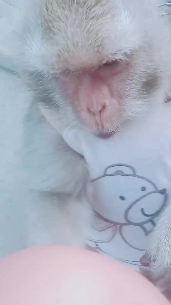 @SAHABAT SI MOMO
