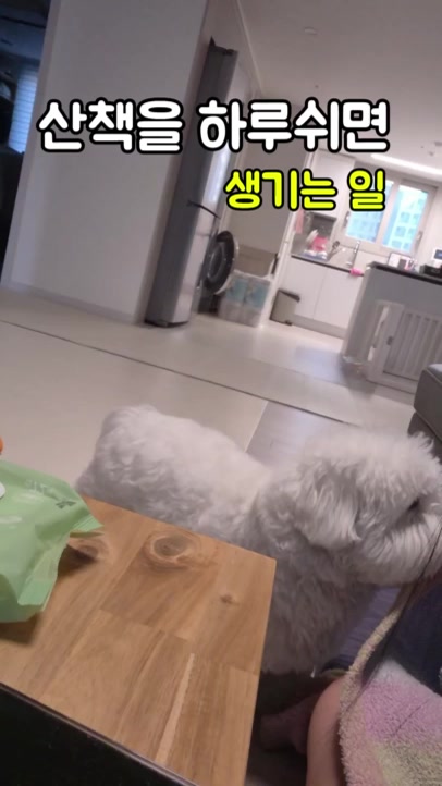 @꼬똥로리