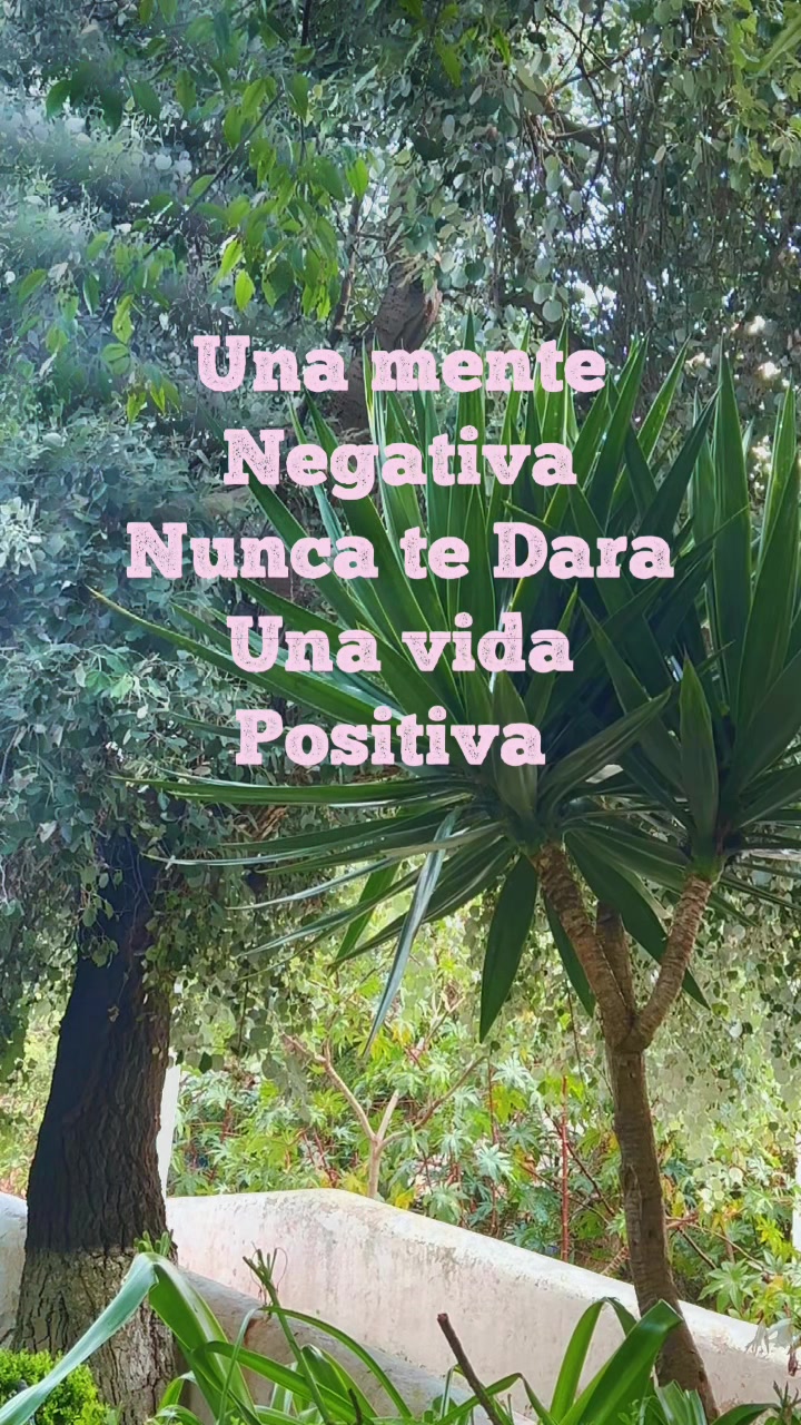 @Vikita Olvera