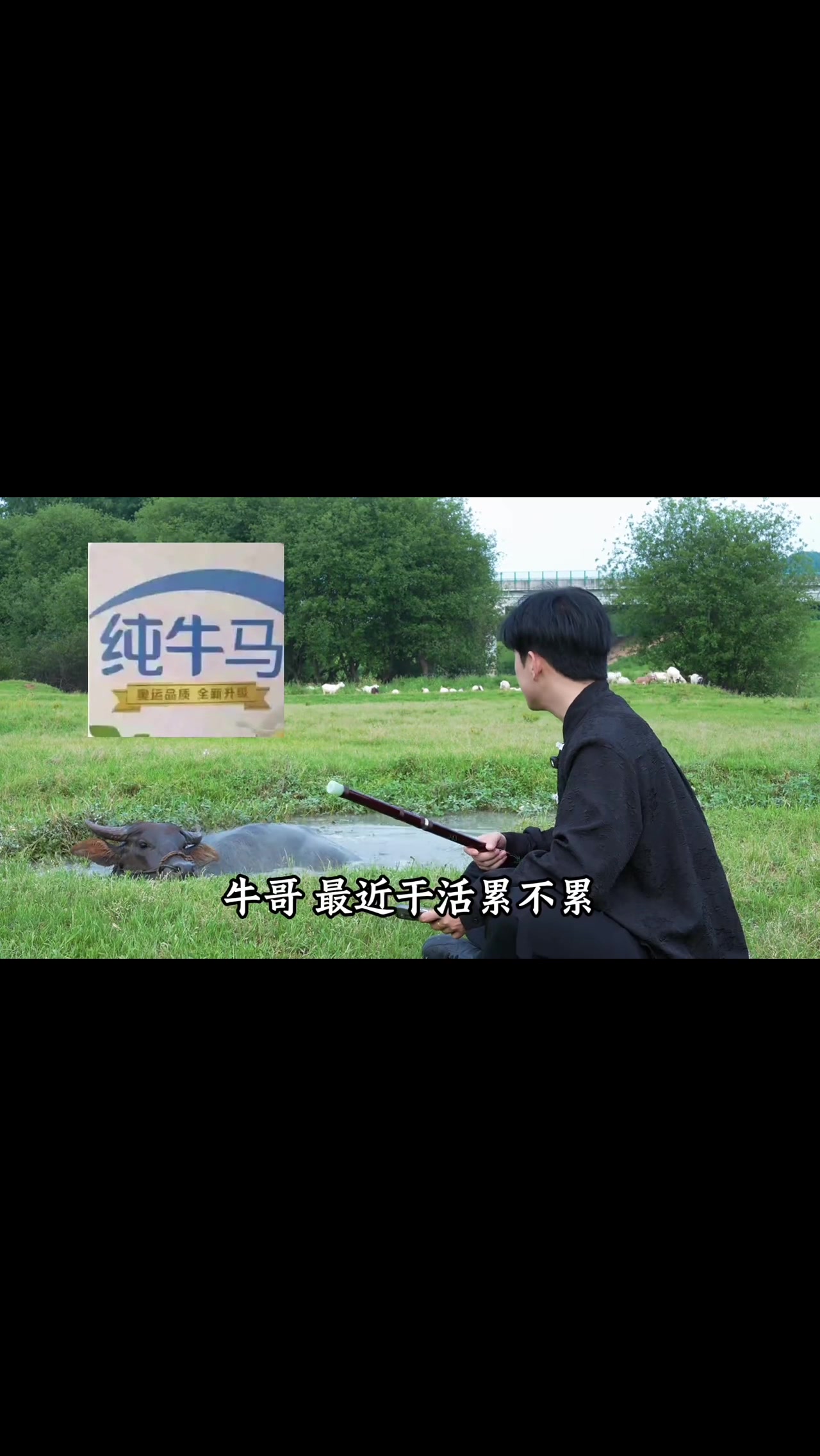 @🎋爱竹笛 Đam M&ecirc; S&aacute;o Tr&uacute;c 🪈