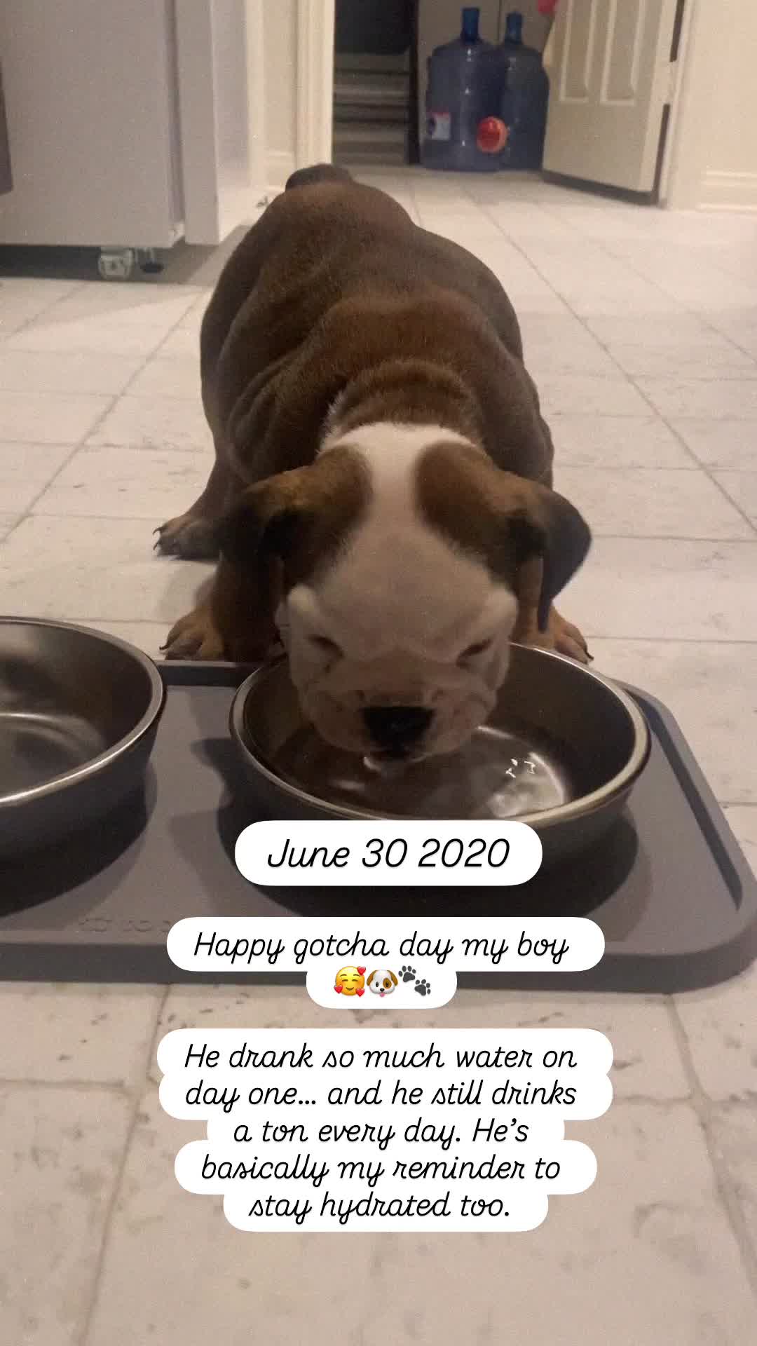 @Taco 🐶🧿