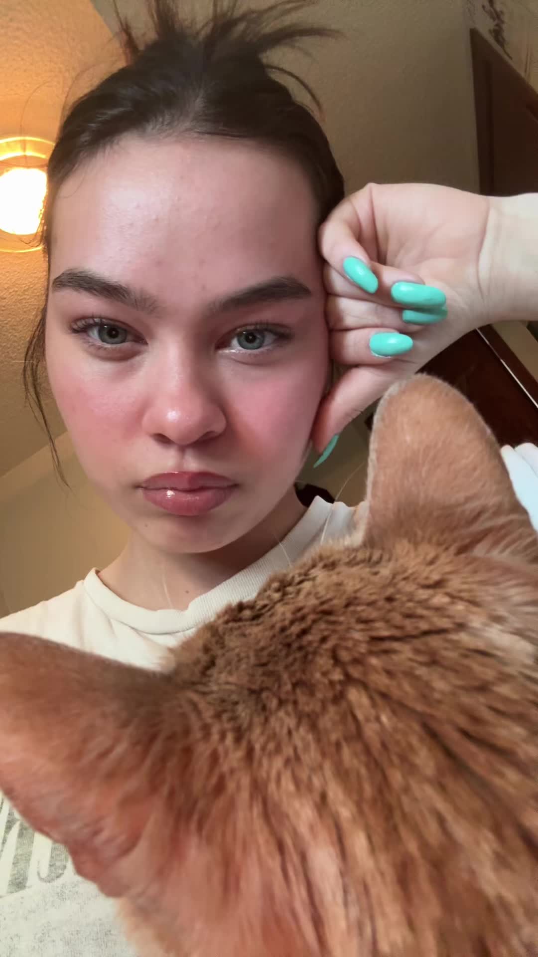 @Kitten