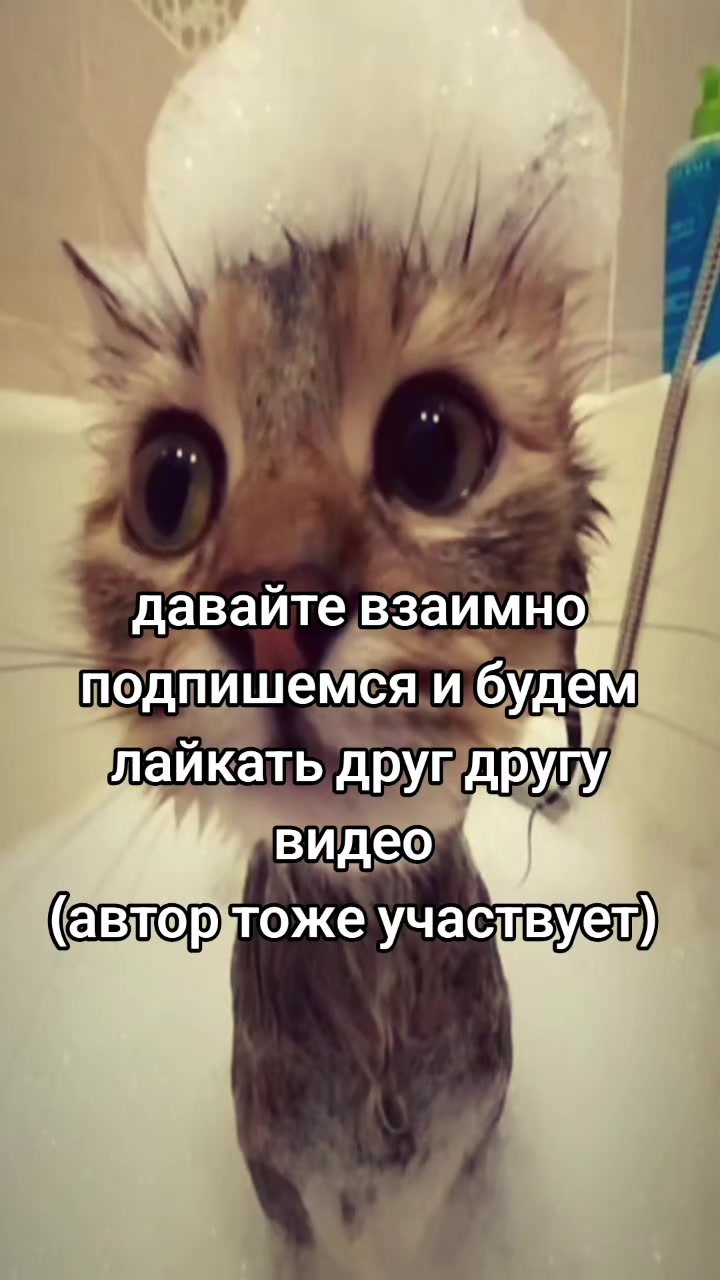 @❤️🍷Svetohka❤️🍷
