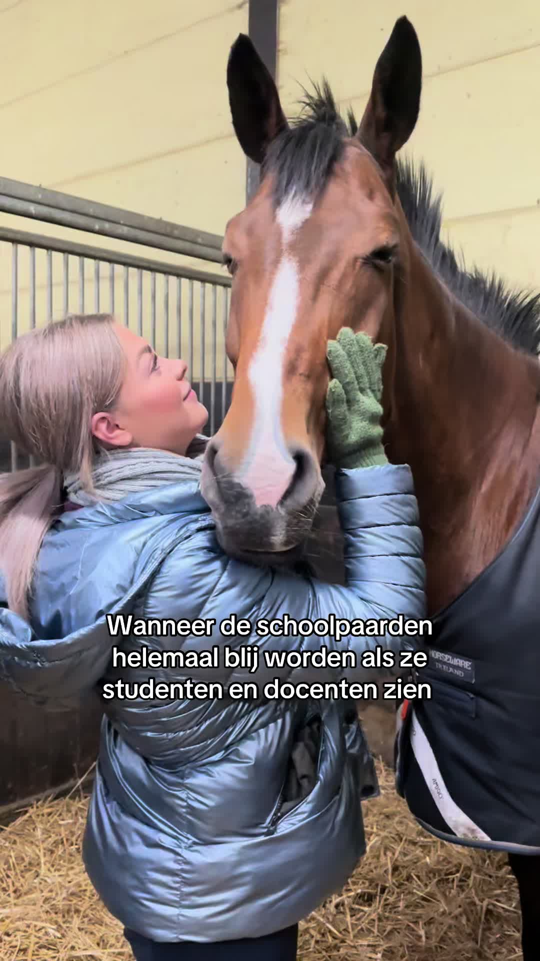 @Paardensport & -houderij Curio