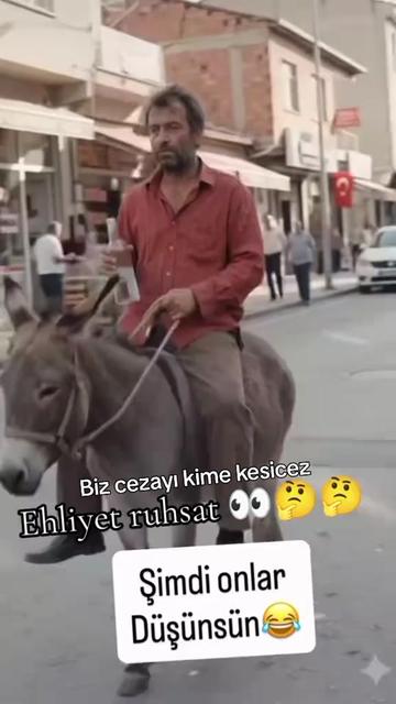 @BİR SERÇENİN GÖZYAŞ🕊️🕊️🕊️