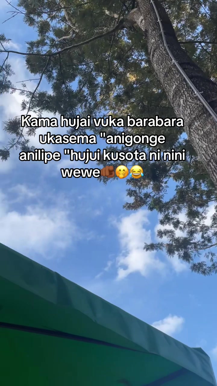@vibez.35