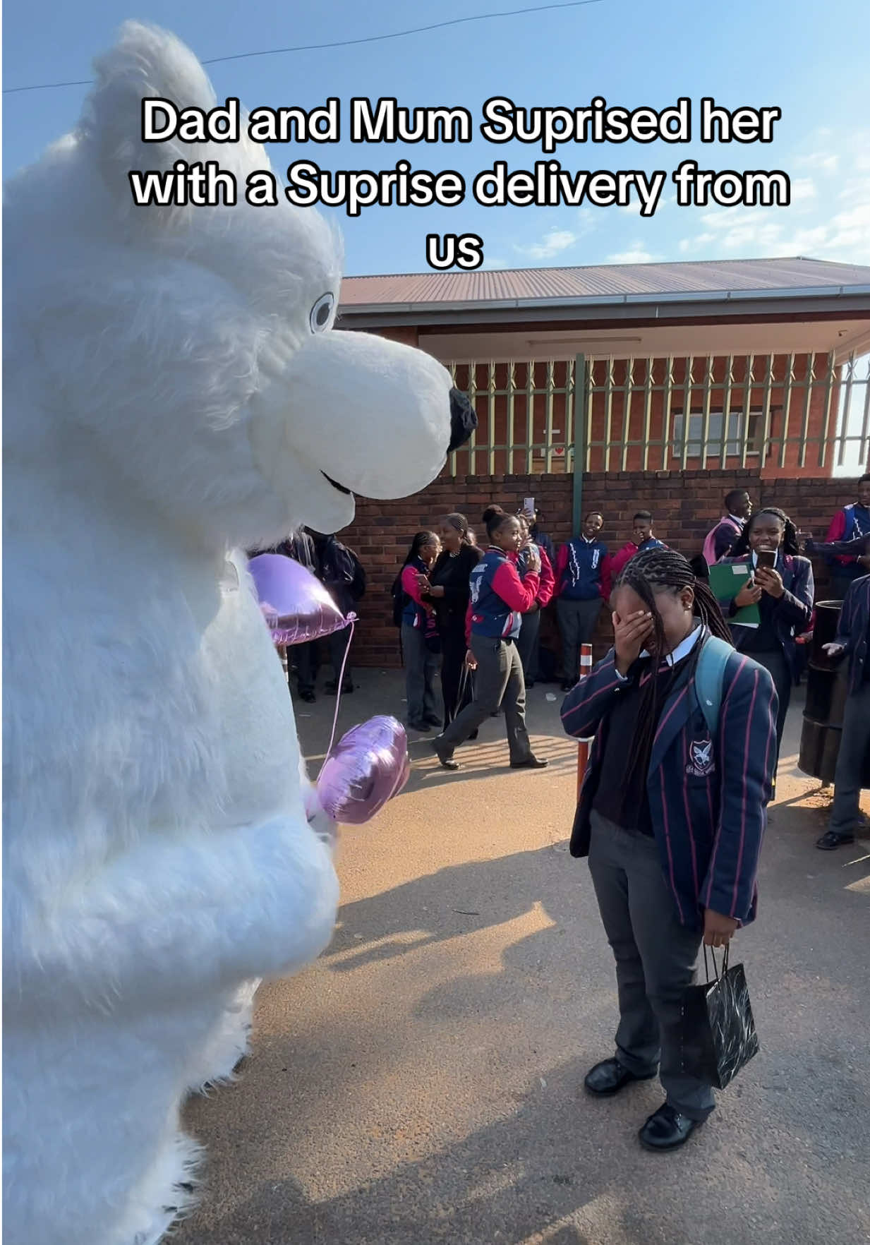 @dancingmascotssa