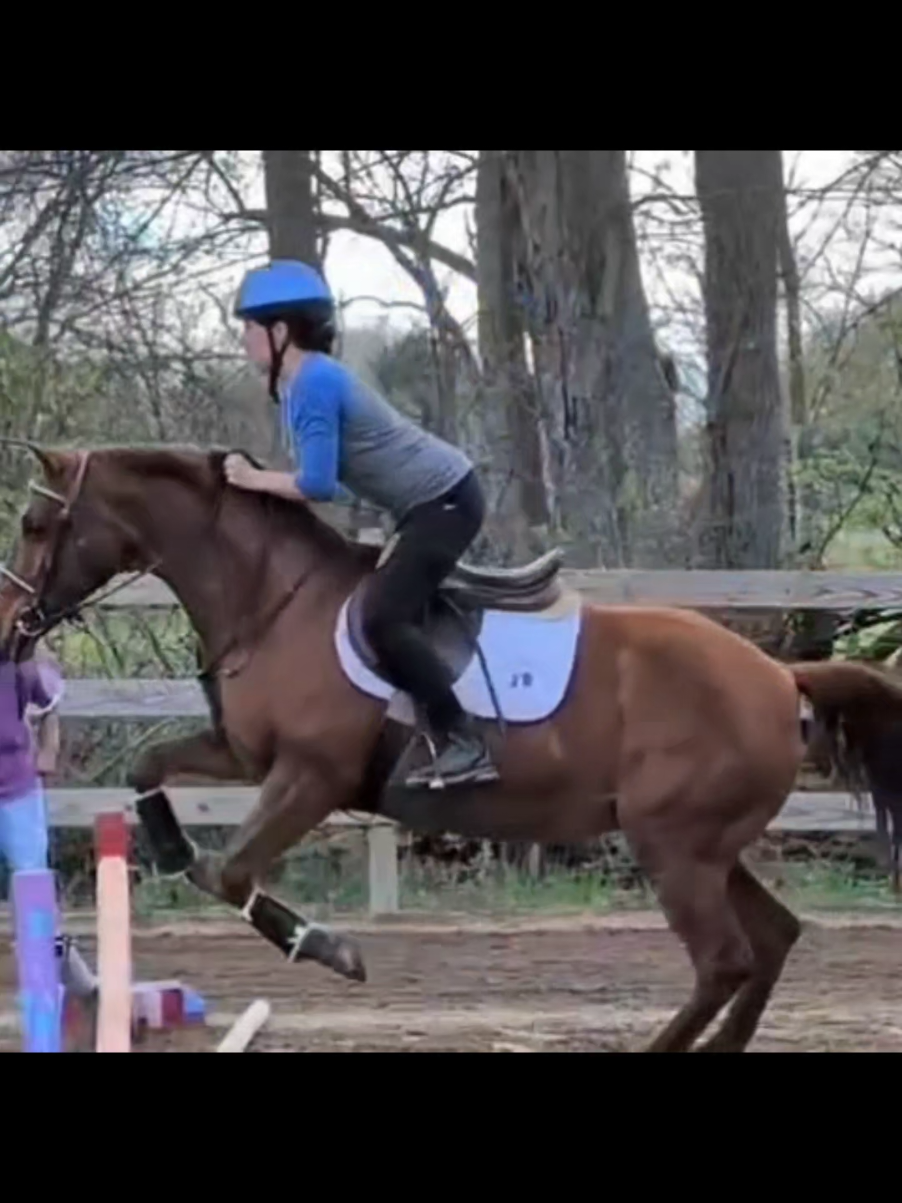 @untamablecowgirl🛢🐎&hearts;️