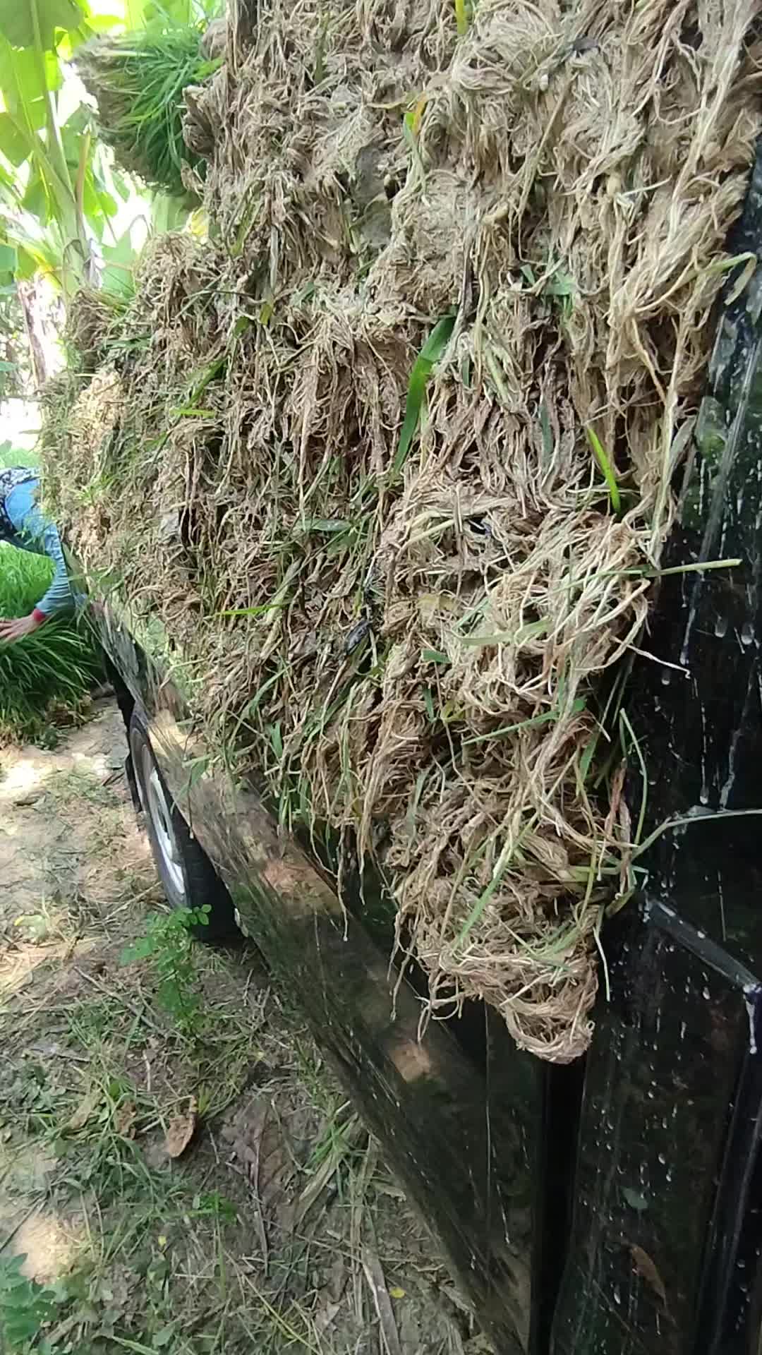 @elbamuria