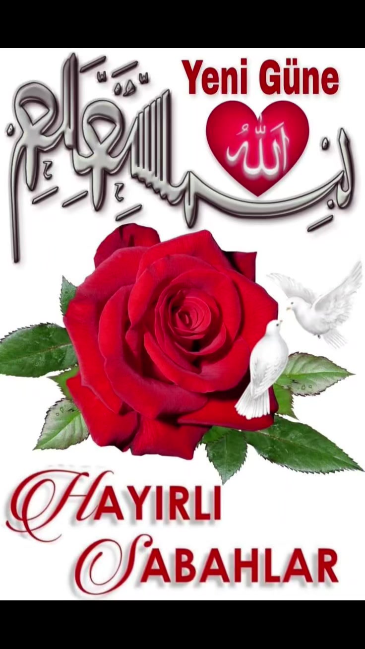 @MEVLÜT 0816