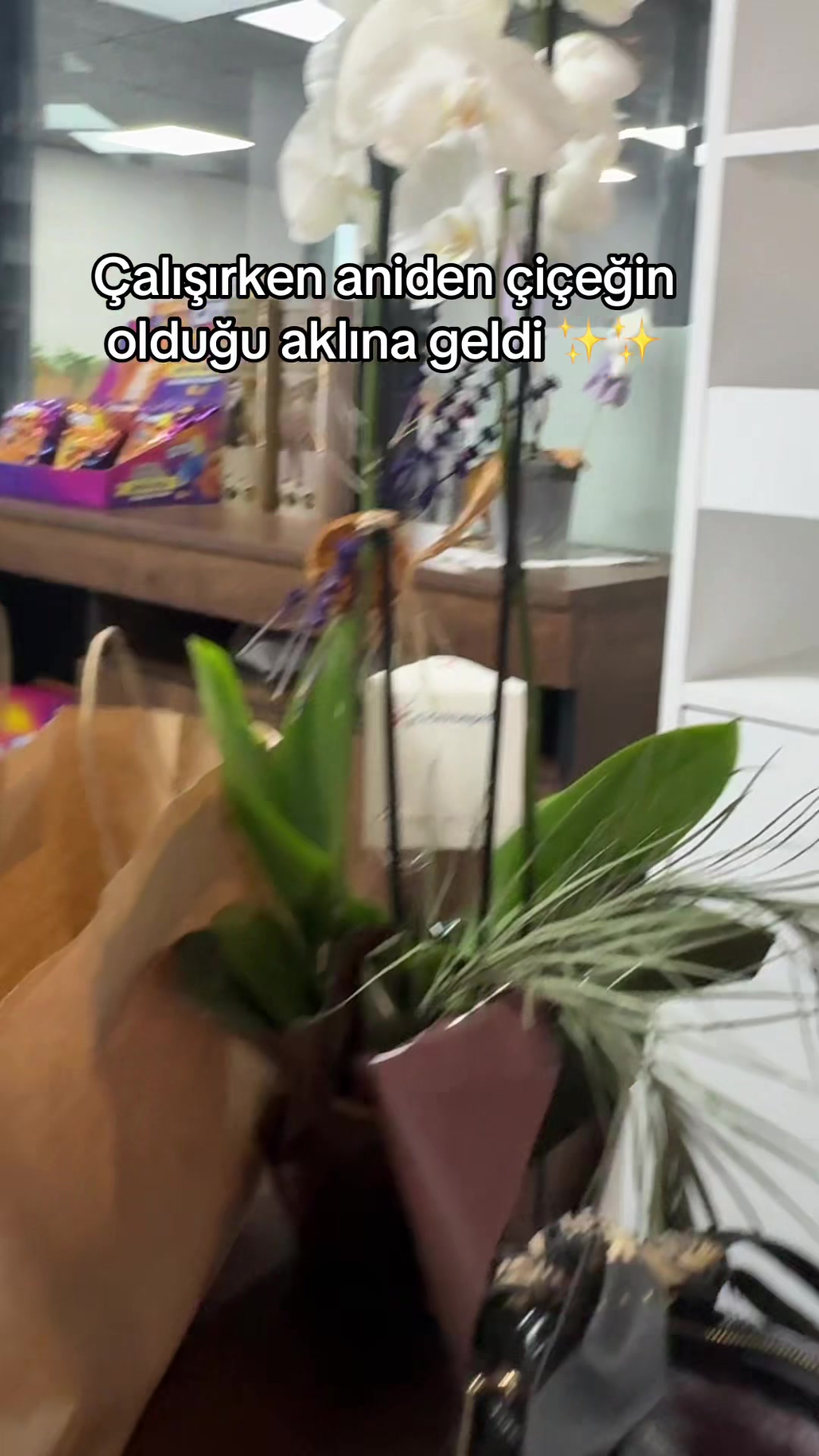 @Kkk