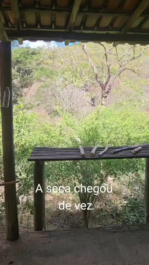 @zemarcos