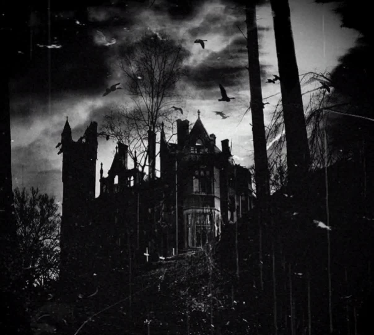 @𝐈𝐬𝐚𝐛𝐞𝐥𝐥𝐚 .⋆♱⃓