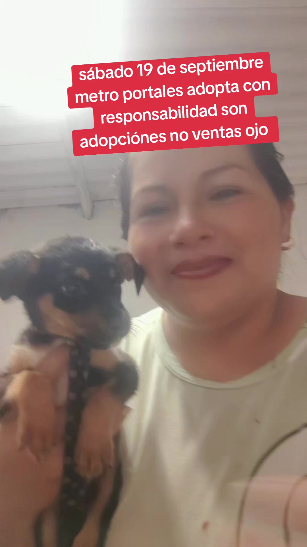 @rescate de perros guapos 😚