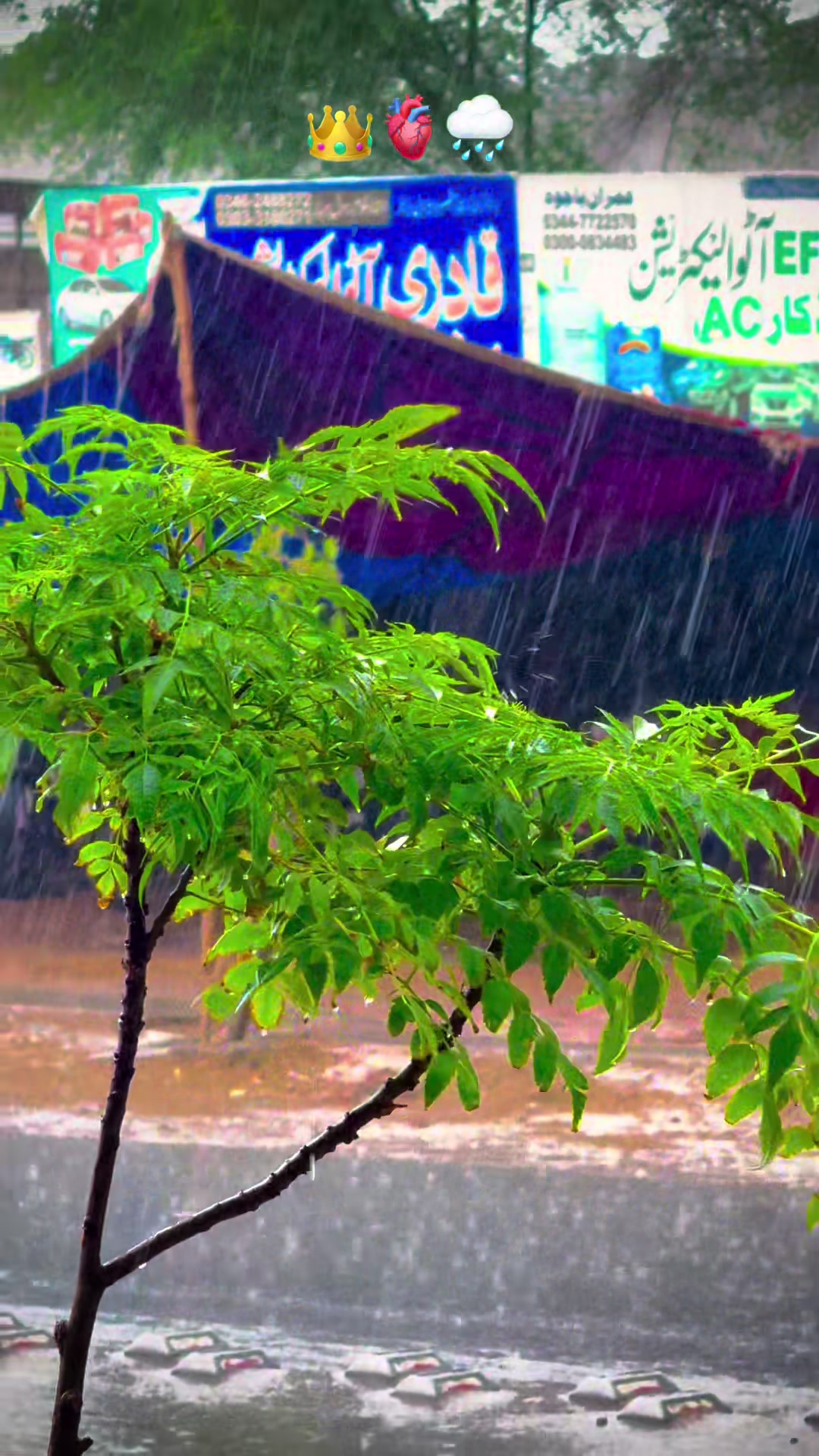 @پنجابی کلچر 🌾🍂