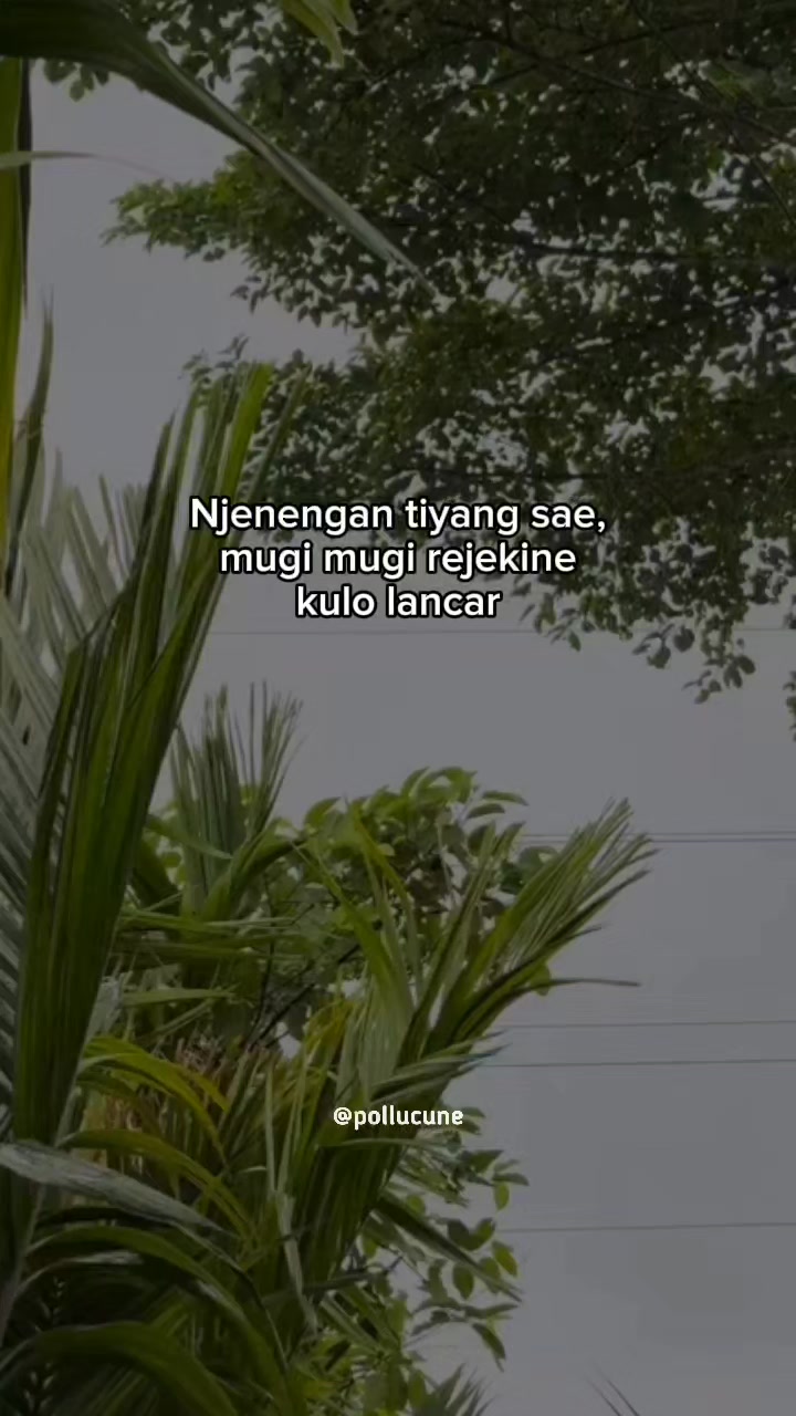 @๐ฃ๐ข๐๐๐จ๐๐จ๐ก๐