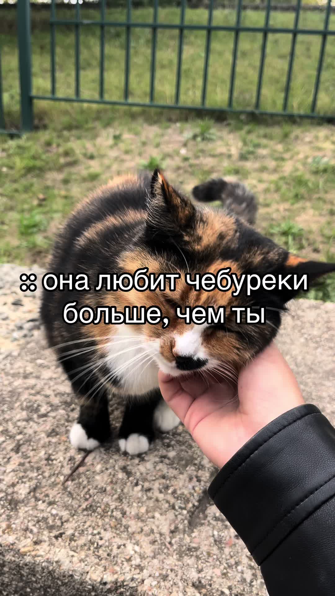 @𝐍𝐚𝐲