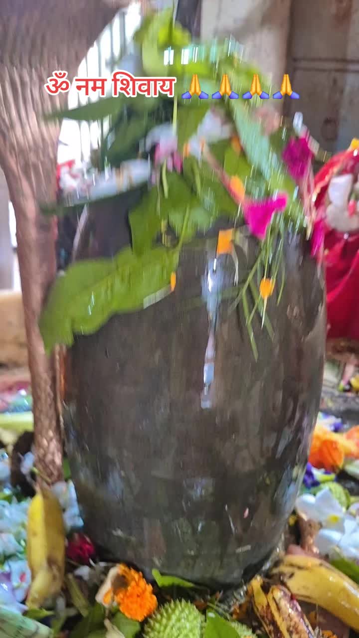 @saru gahatraj