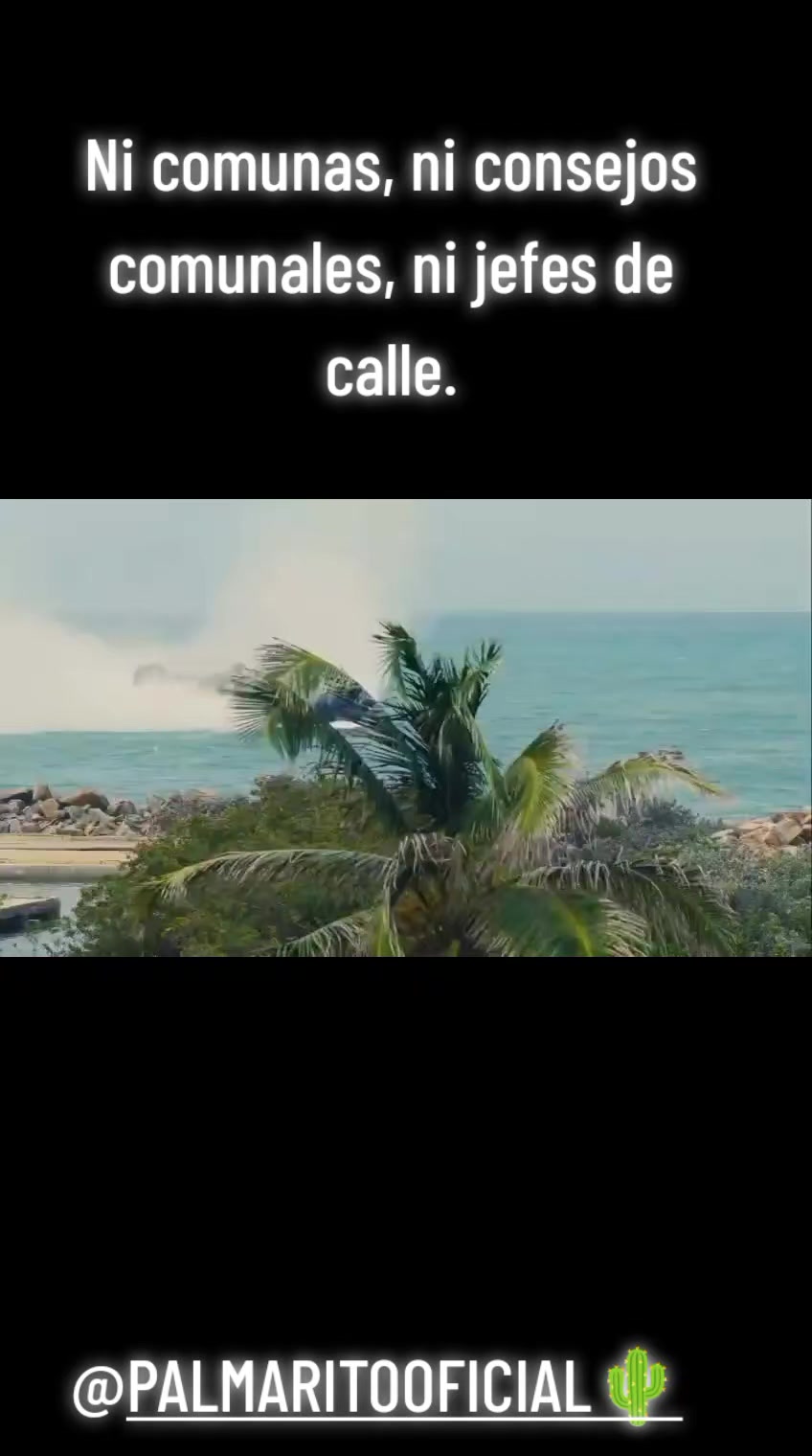 @PALMARITOOFICIAL 🌵