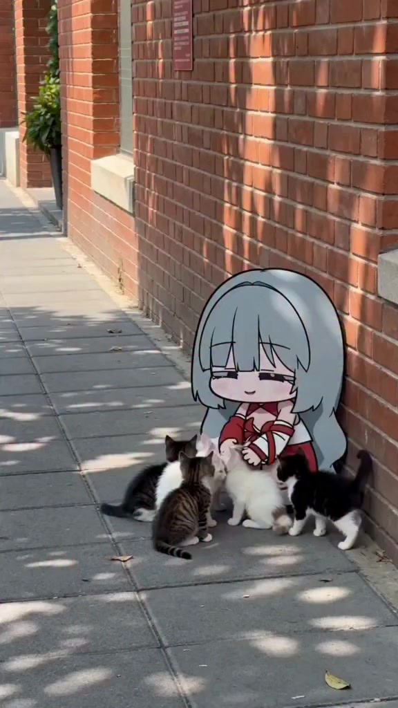 @foxamv