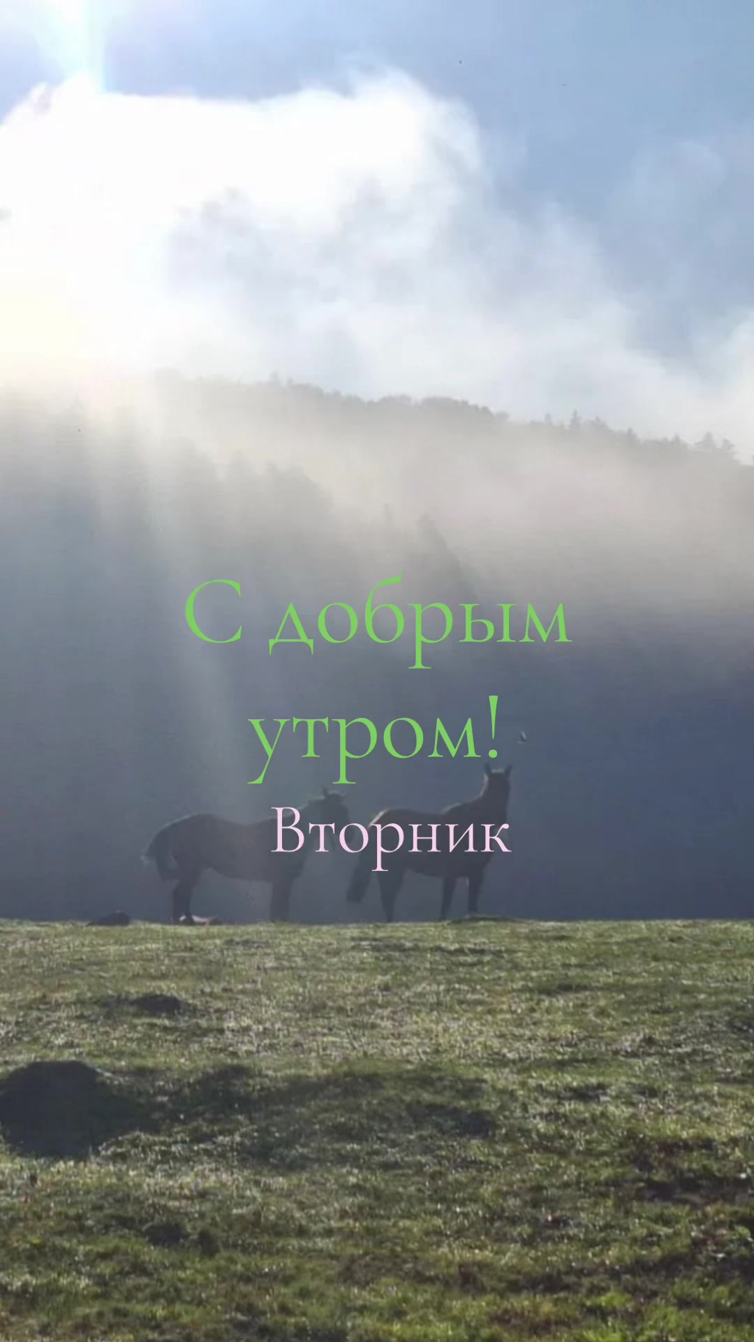 @Файруза Ковалинская