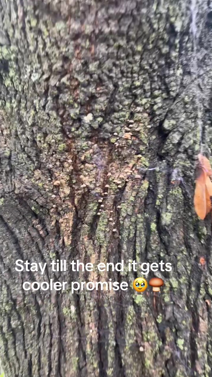 @Lil.bitxch444