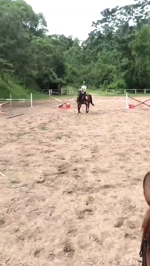 @equestrian