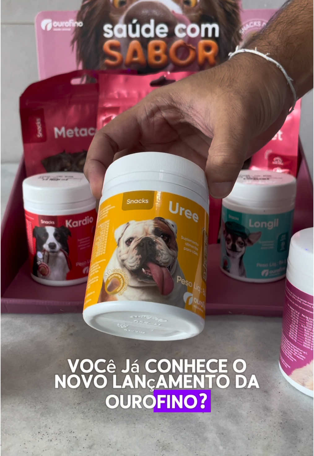 @4patas24h