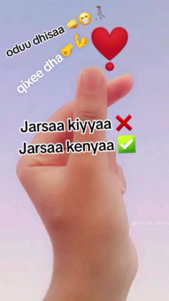 @N 🫶