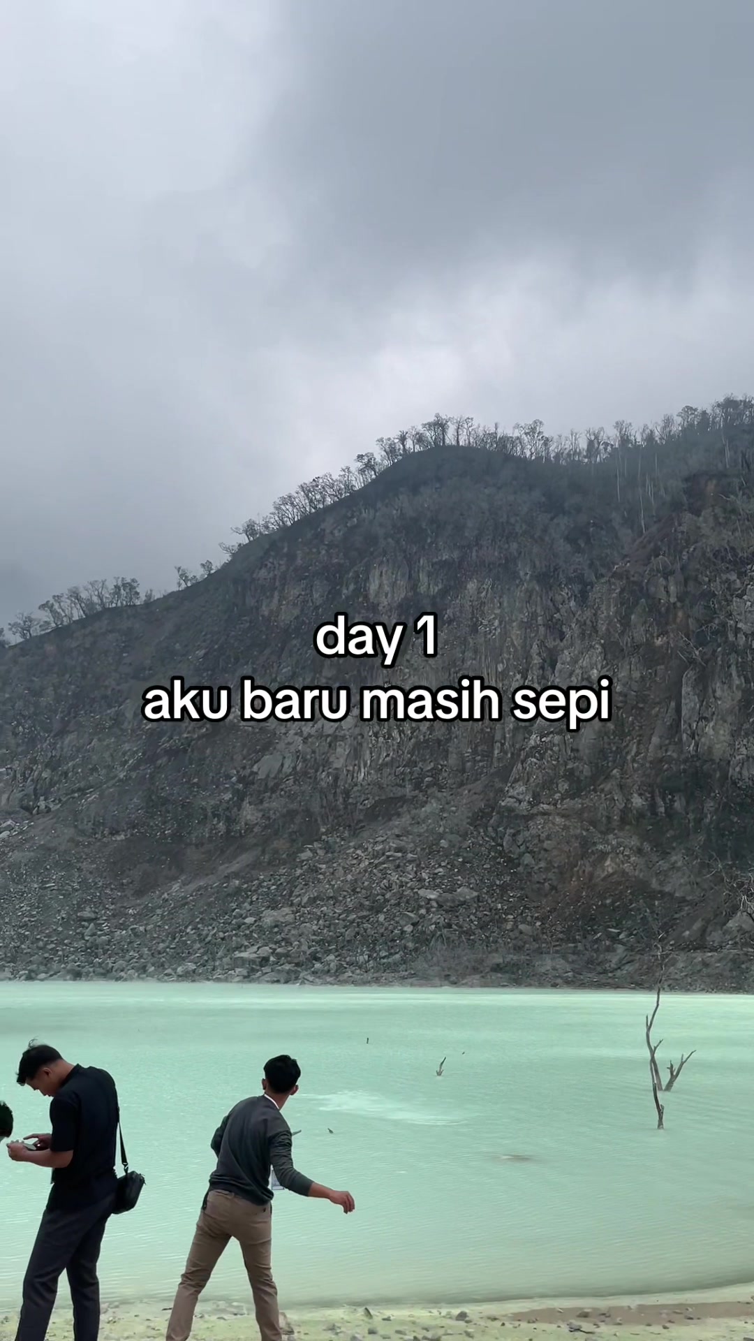 @diss