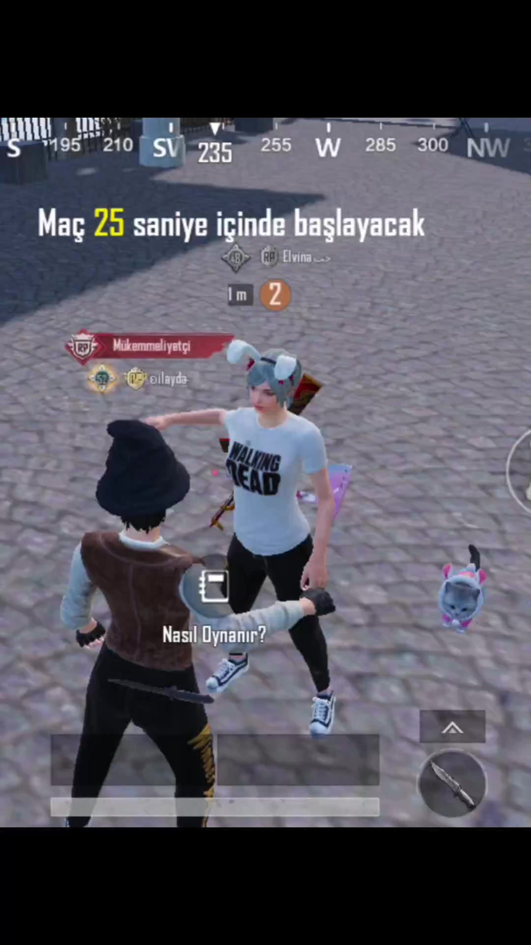 @ilyy🐰