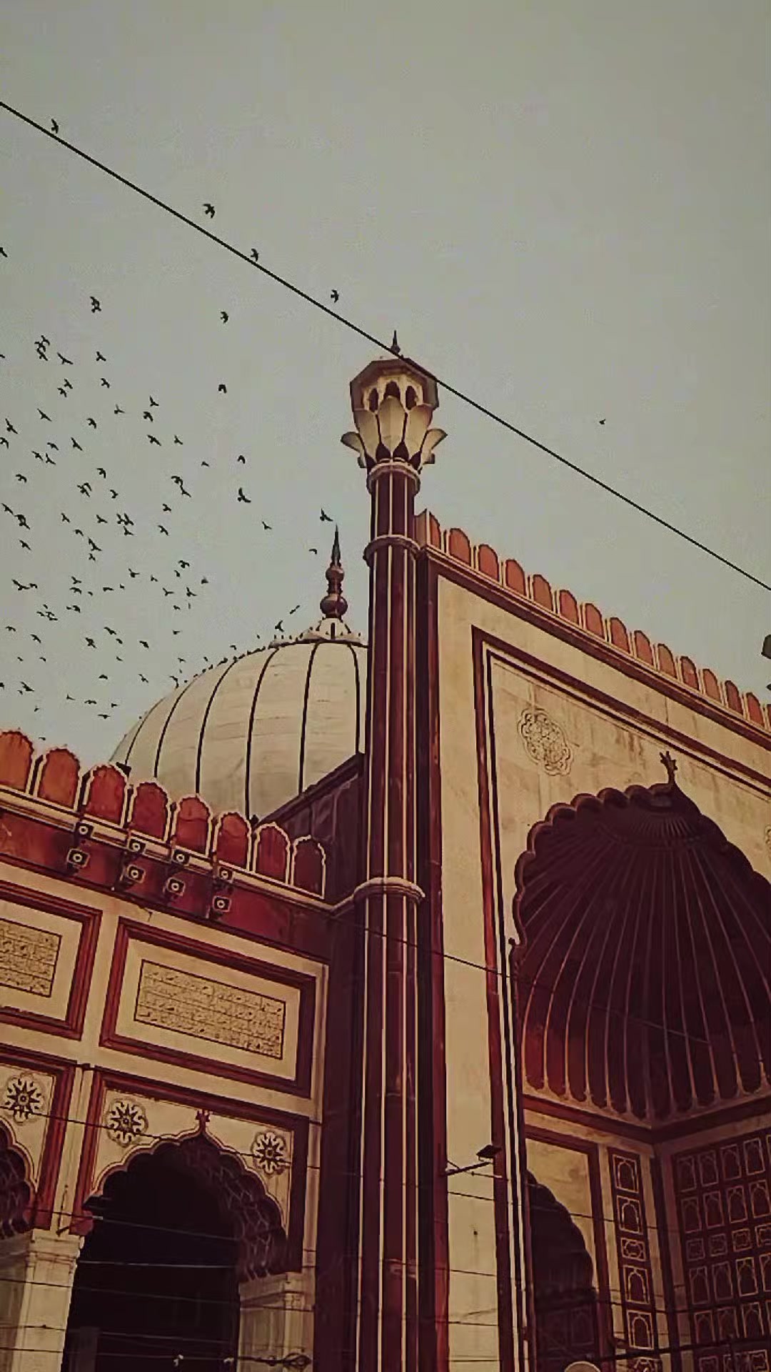 @𝗔𝗺𝗺𝗮𝙡_𝙚𝙙𝙞𝙩𝙯🦢