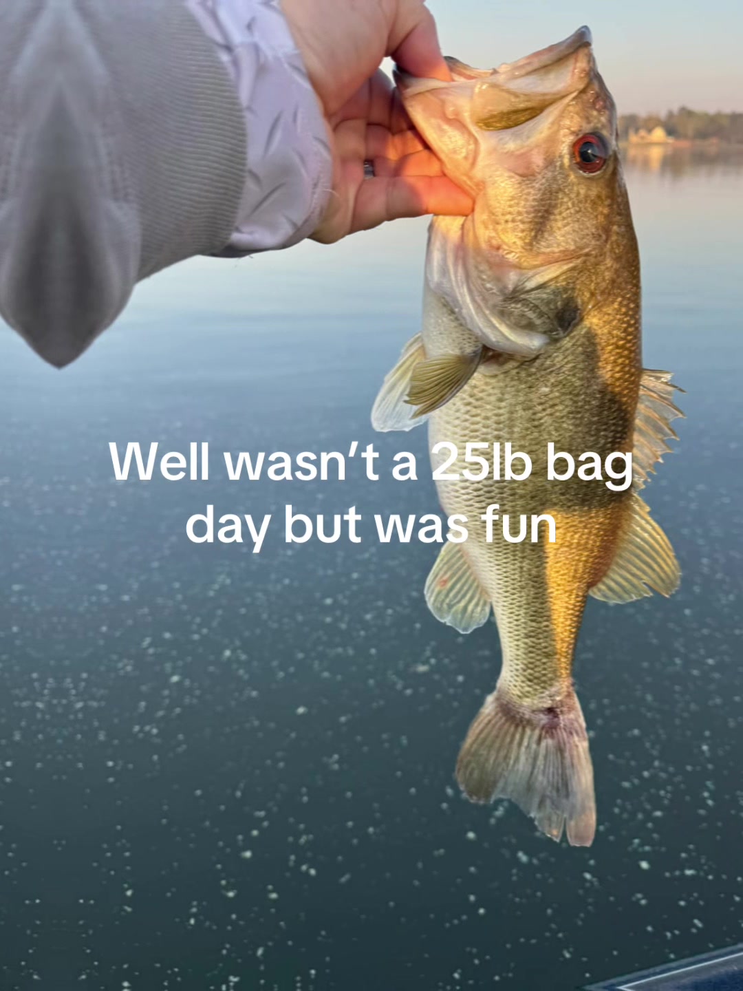 @STUCKINTHETREEFISHING