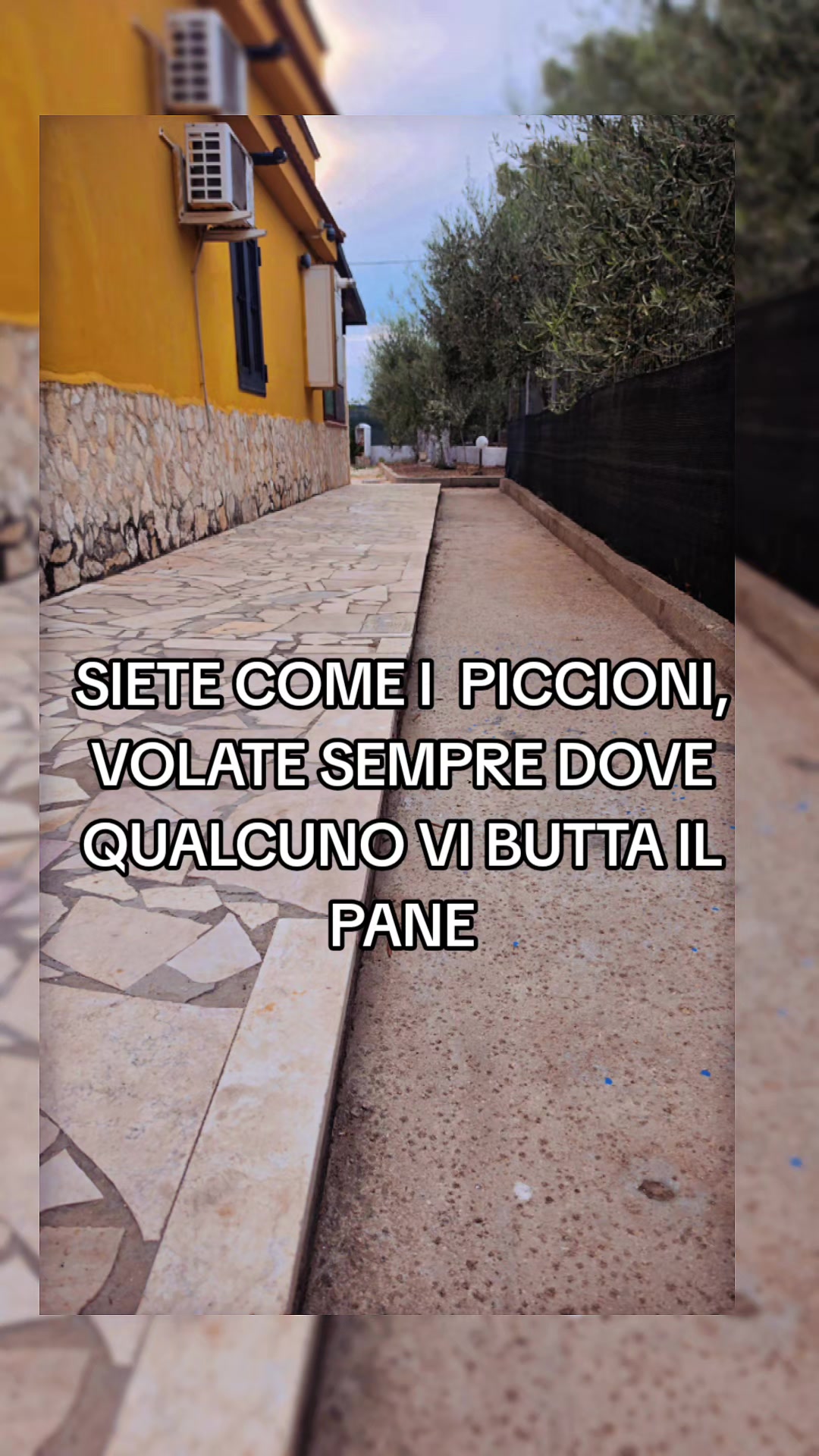 @Antonio