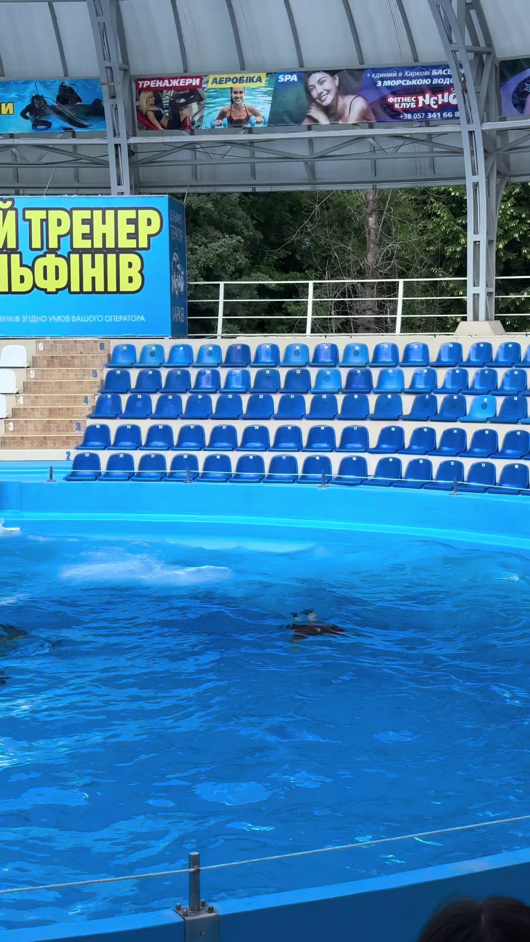 @Варикозник