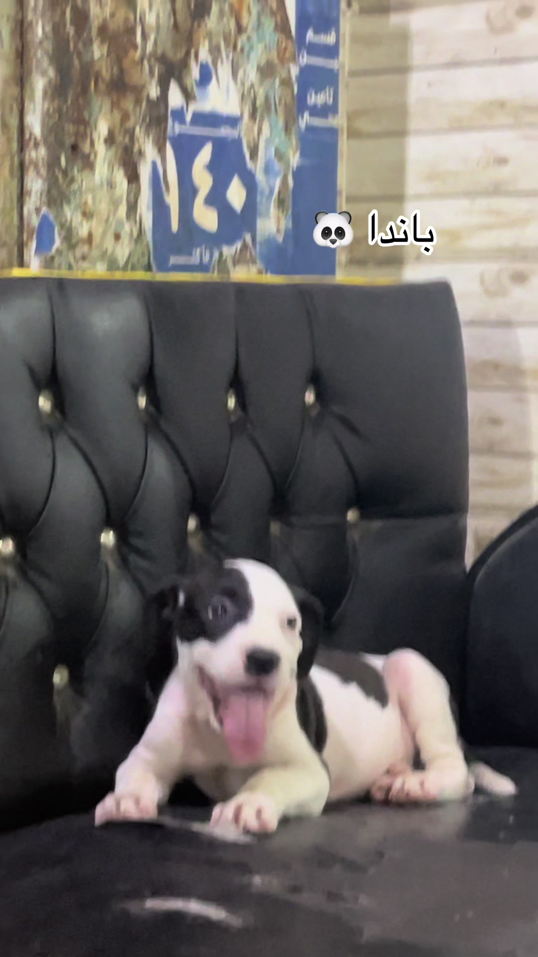 @zeus❤️🔥😈