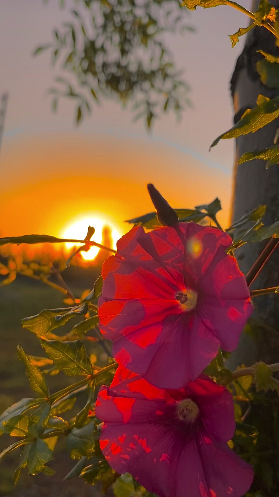 @ahmett_6334☀️