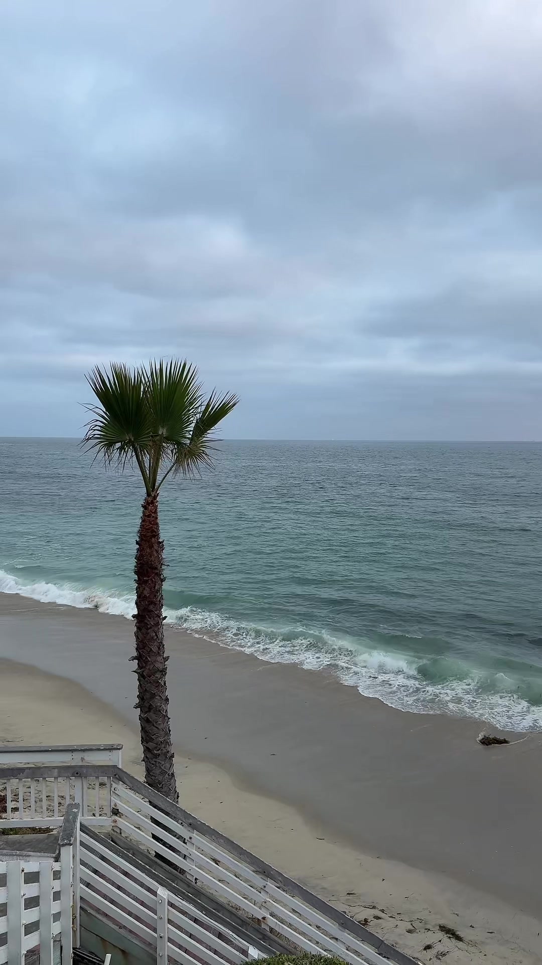 @˘ᵕ˘