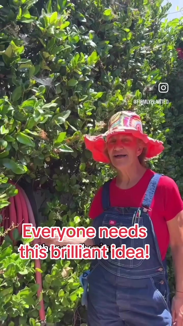 @firmlyplanteddesigns