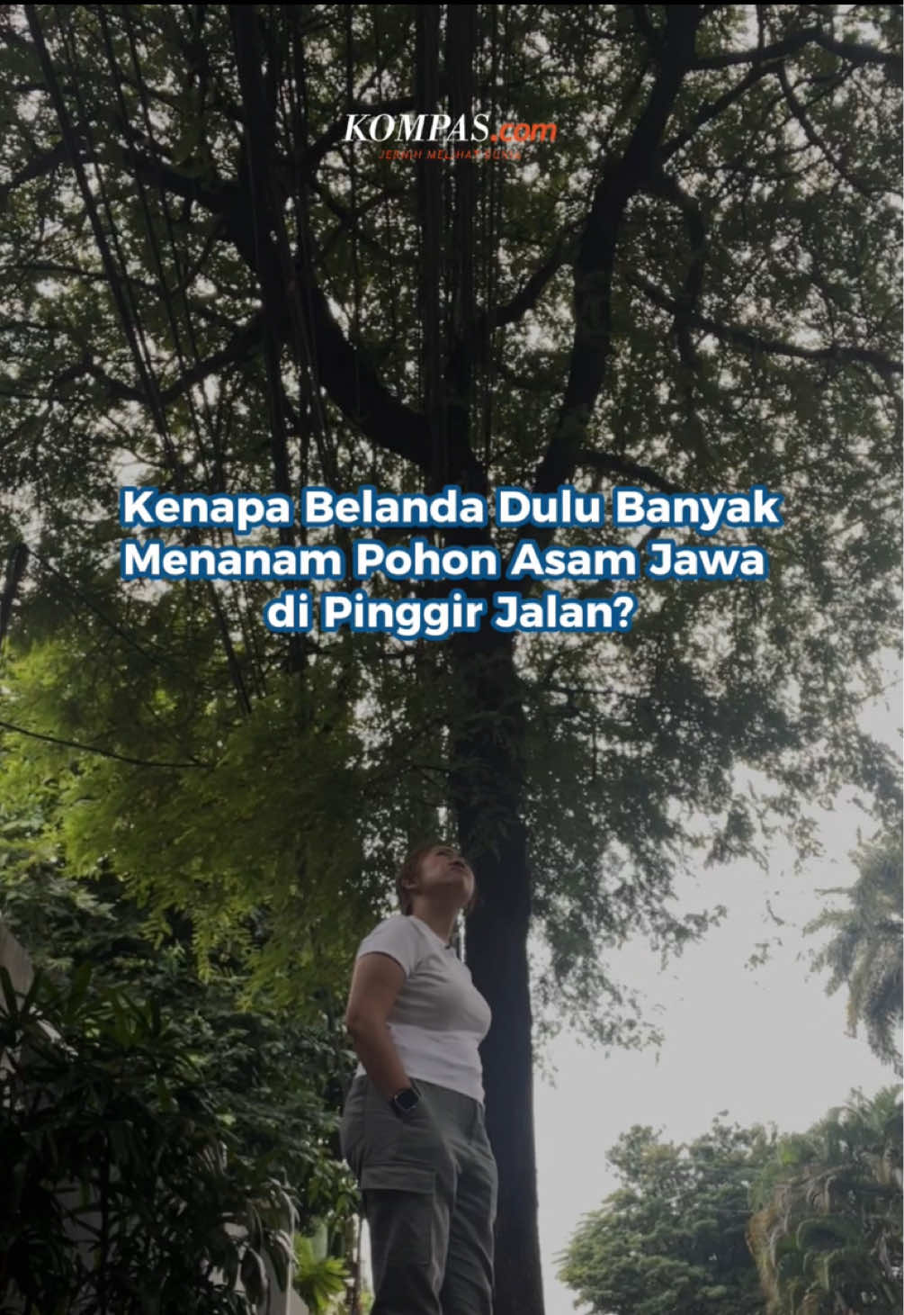@Kompas.com