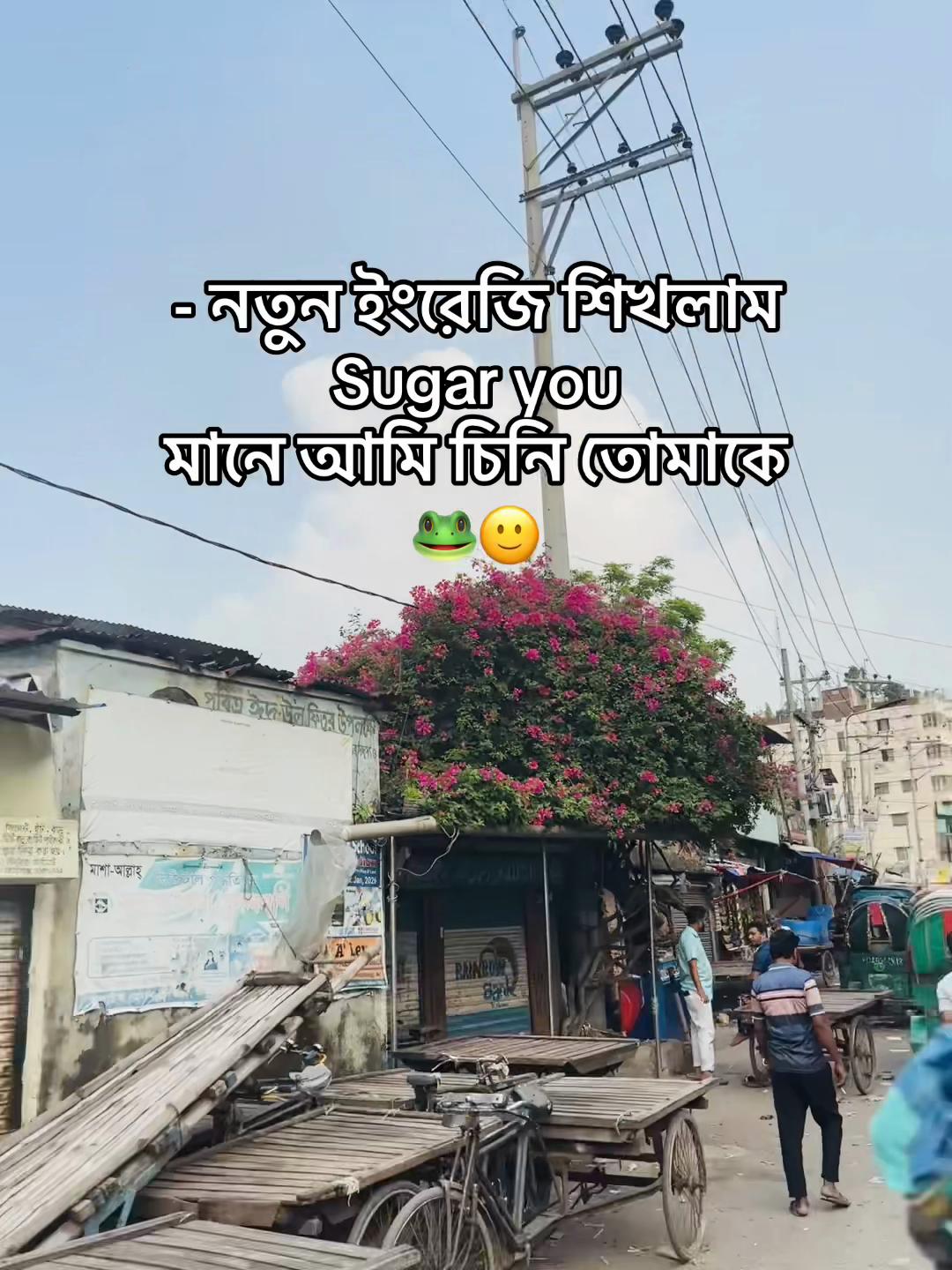 @টিক -টিকি