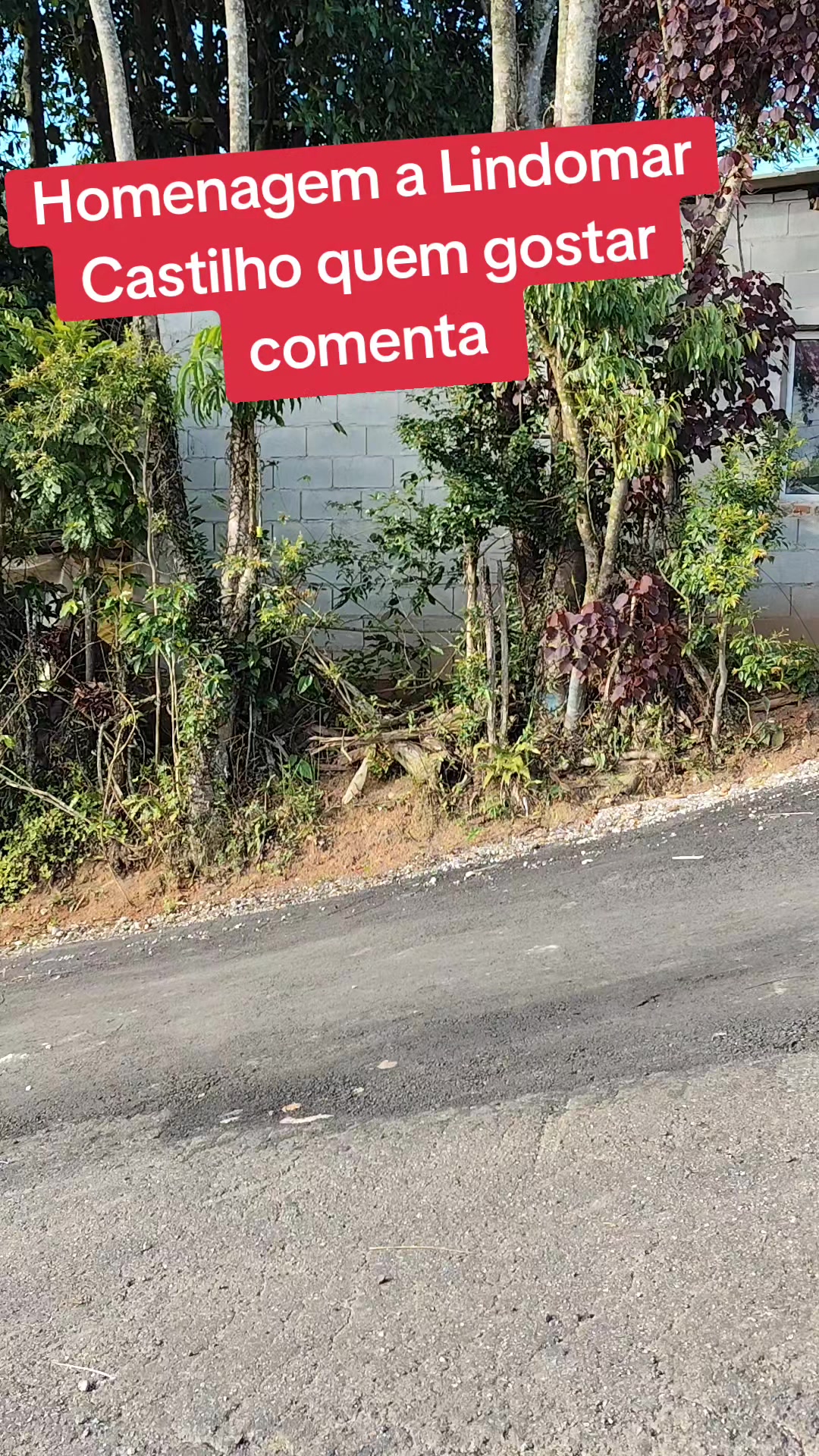 @João Lopes de Souza