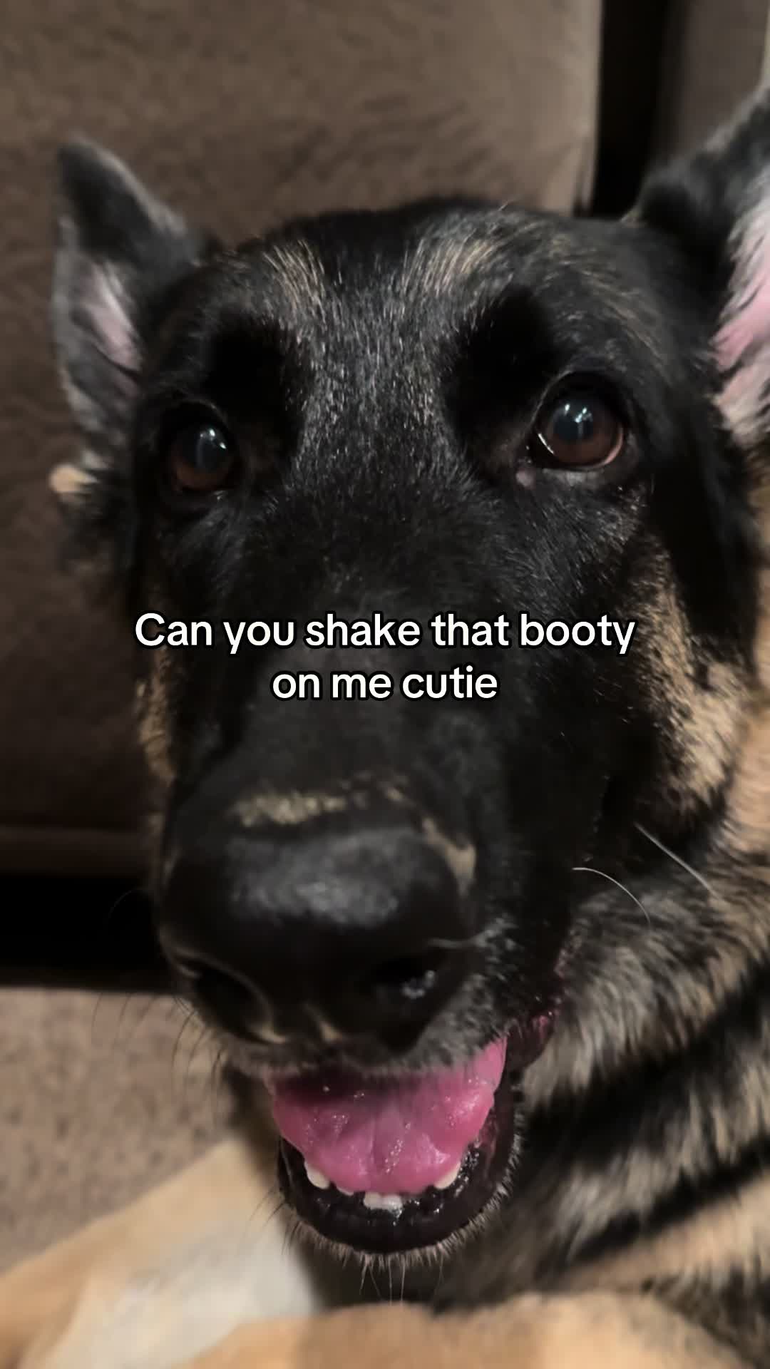 @Bhris