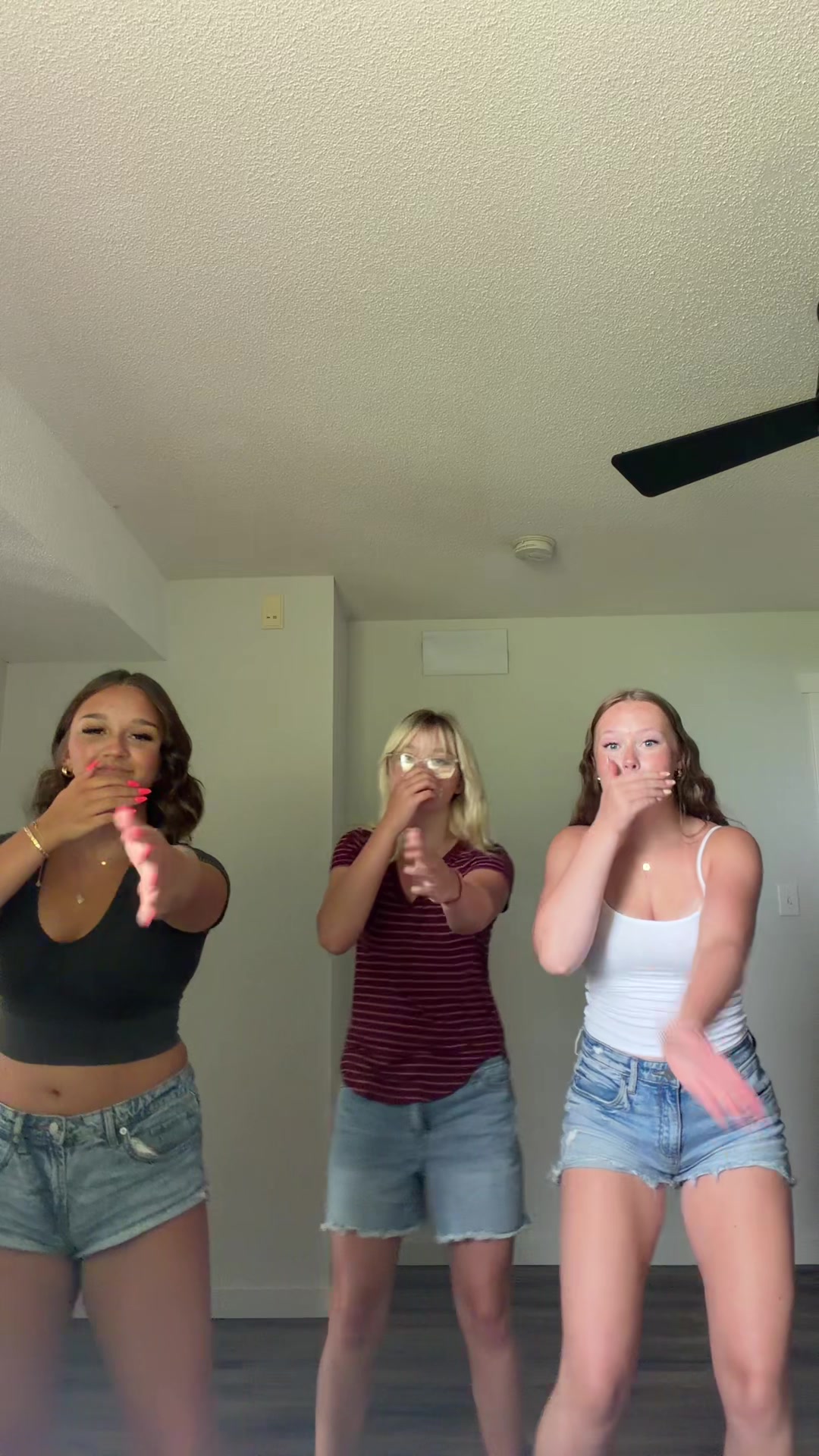 @stelladih